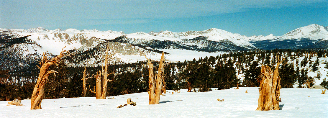 Western Sierra